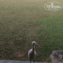 фото из отзыва ID 2667907