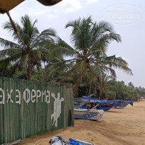 фото из отзыва ID 2667907