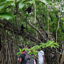 фото из отзыва ID 2667907