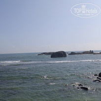 фото из отзыва ID 2667907