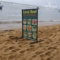 фото из отзыва ID 2667907