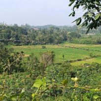 фото из отзыва ID 2667907