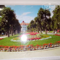 фото из отзыва ID 2667773