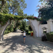 фото из отзыва ID 2667936