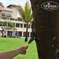 фото из отзыва ID 2667985