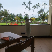 фото из отзыва ID 2667985