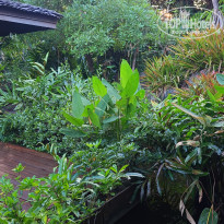 фото из отзыва ID 2668000