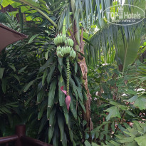 фото из отзыва ID 2668000