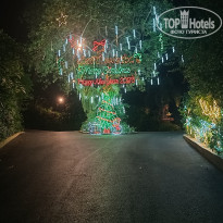 фото из отзыва ID 2668000