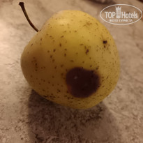 фото из отзыва ID 2668087