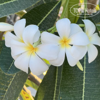 фото из отзыва ID 2668109