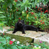 фото из отзыва ID 2668112