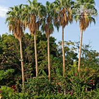 фото из отзыва ID 2668112