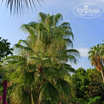 фото из отзыва ID 2668112