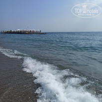 фото из отзыва ID 2668112