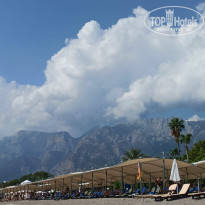 фото из отзыва ID 2668112