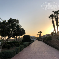 фото из отзыва ID 2668115