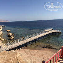 фото из отзыва ID 2668115