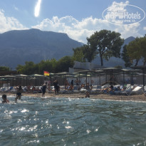 фото из отзыва ID 2666487