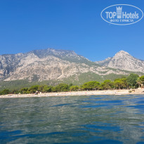 фото из отзыва ID 2666487