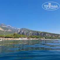 фото из отзыва ID 2666487