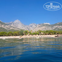 фото из отзыва ID 2666487