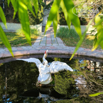 фото из отзыва ID 2668145