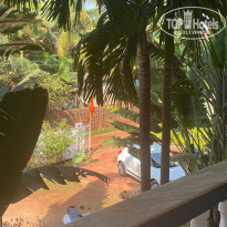 фото из отзыва ID 2668153