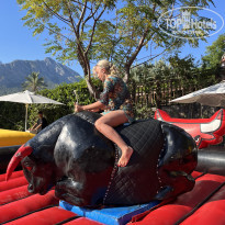 фото из отзыва ID 2668160