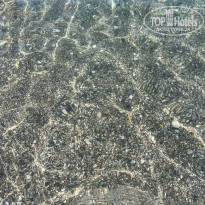 фото из отзыва ID 2668160