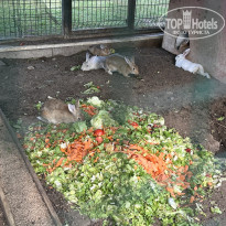 фото из отзыва ID 2668160