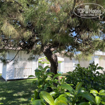 фото из отзыва ID 2668160