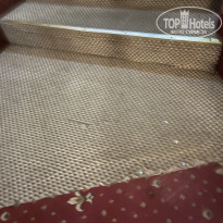 фото из отзыва ID 2668167