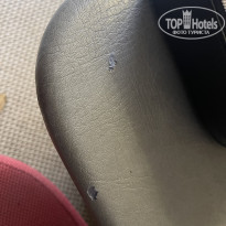 фото из отзыва ID 2668167