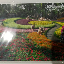 фото из отзыва ID 2667988