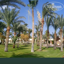 фото из отзыва ID 2666281