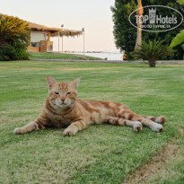 фото из отзыва ID 2666281