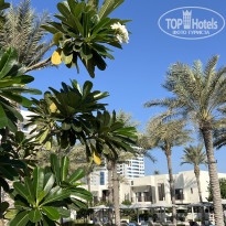 фото из отзыва ID 2668362