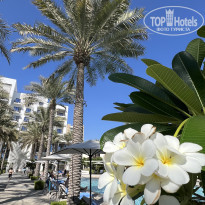 фото из отзыва ID 2668362