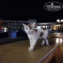 фото из отзыва ID 2668377