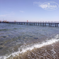 фото из отзыва ID 2668377