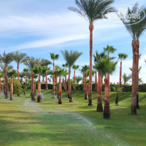 фото из отзыва ID 2668377