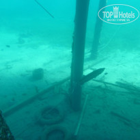 фото из отзыва ID 2668370