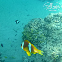 фото из отзыва ID 2668370