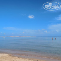 фото из отзыва ID 2668370