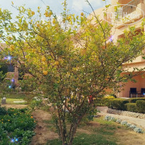 фото из отзыва ID 2668396