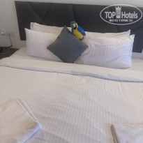 фото из отзыва ID 2668455