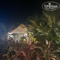 фото из отзыва ID 2668455