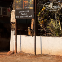 фото из отзыва ID 2668460