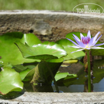 фото из отзыва ID 2668471